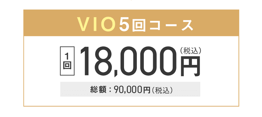 VIO5回コース