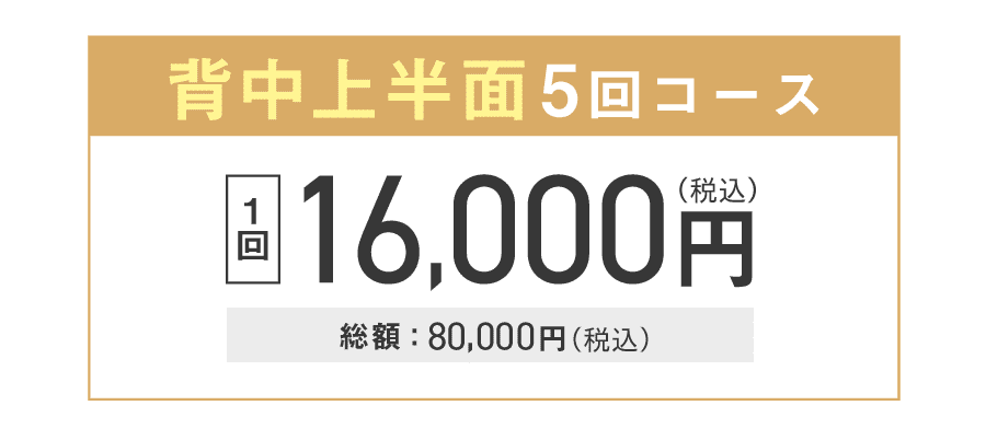 背中上半面5回コース