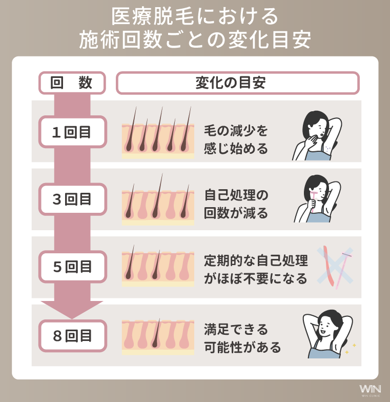 医療脱毛：5回～8回