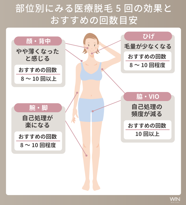 部位別にみる医療脱毛5回の効果とおすすめの回数目安