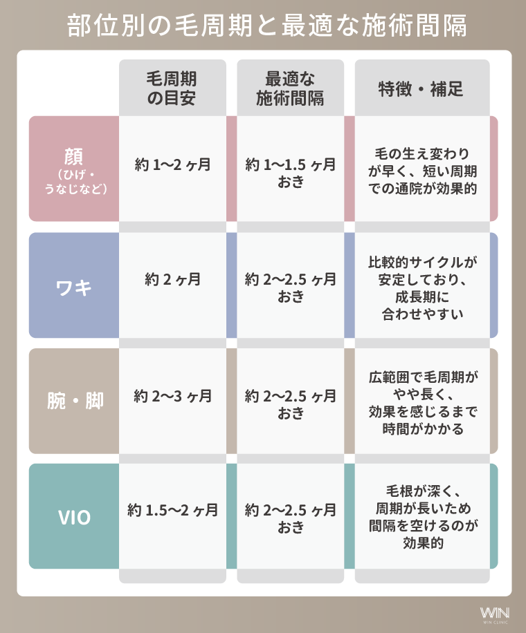 部位別の毛周期と最適な施術間隔
